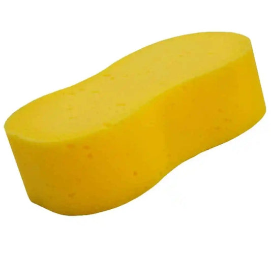 Sponge